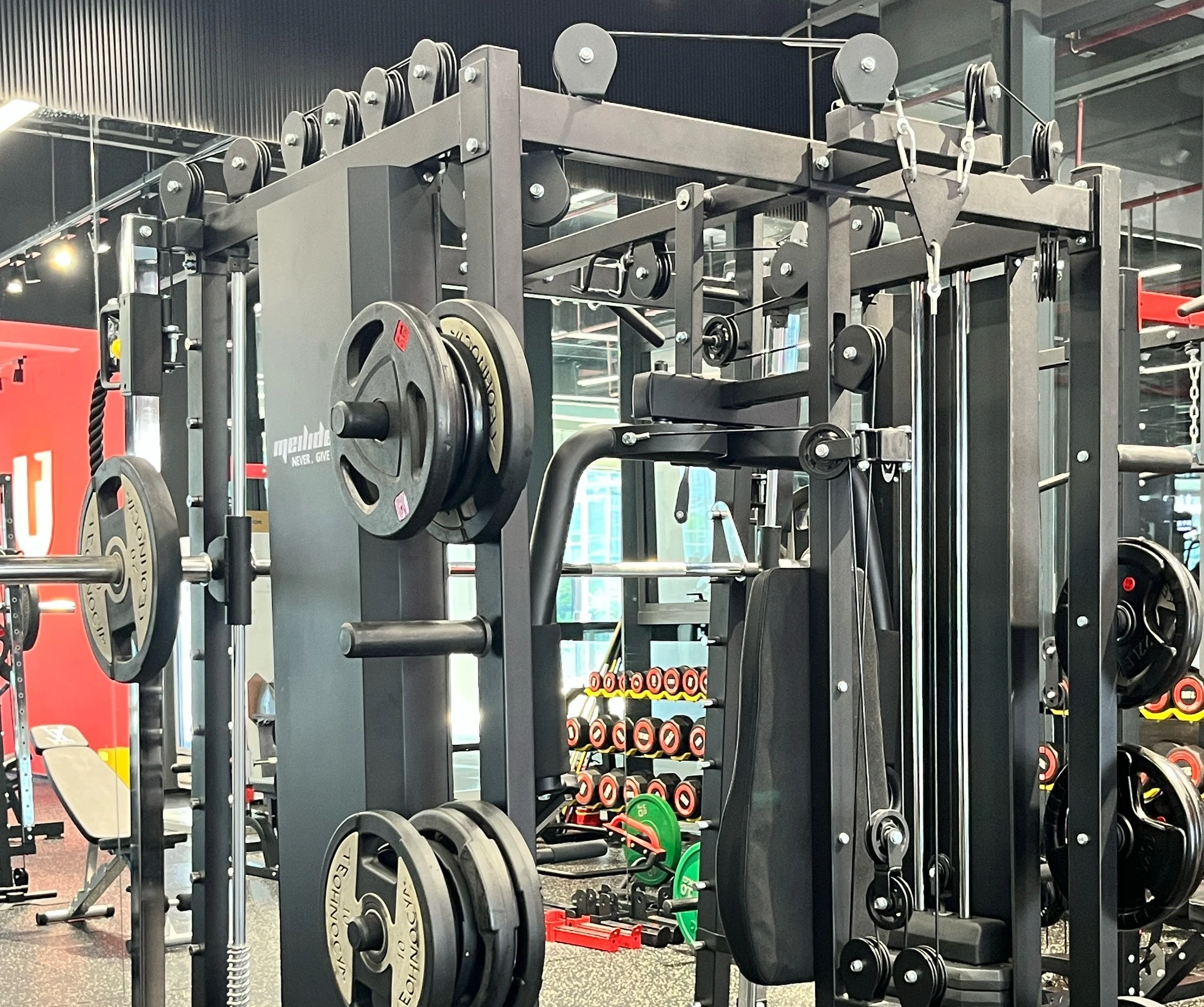 2025年健身器材家用市场